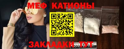 шишки Камышлов