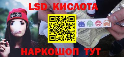 шишки Камышлов