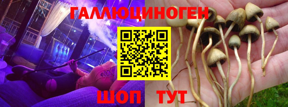 Галлюциногенные грибы MAGIC MUSHROOMS  купить   Глазов  Вход с VPN 